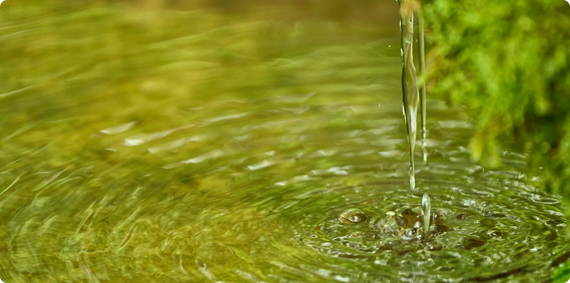 Ứng dụng công nghệ sinh học trong nông nghiệp xanh và phát triển bền vững